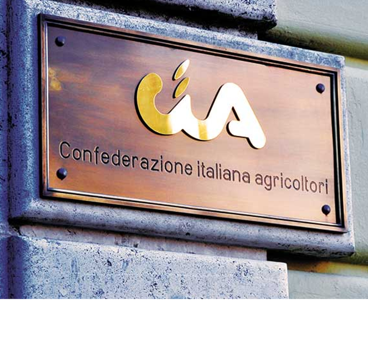 C.I.A. e Medica81 insieme per la Sorveglianza Sanitaria nella tua Azienda